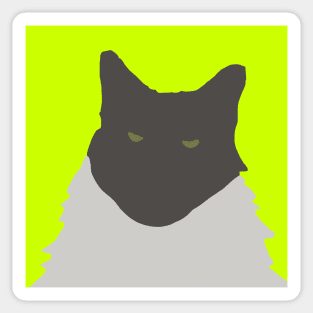 Abstract Cat on Yellow Sticker